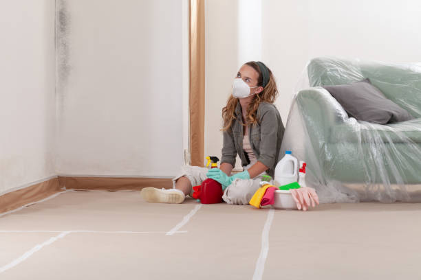 Reliable Crawl Space Mold Remediation contractor in Washington, GA by 24 Hour Mold Removal